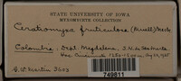 Image Associated With the Occurence